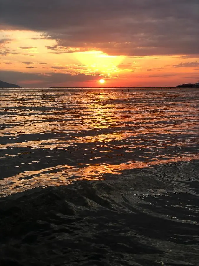 Ritson Hotel Vlorë 3*, Narte Αλβανία